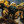 BumbleBee_