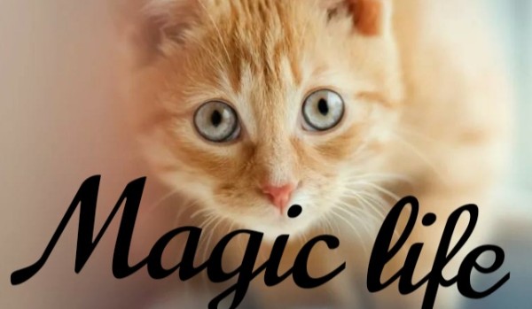 Magic Life #1