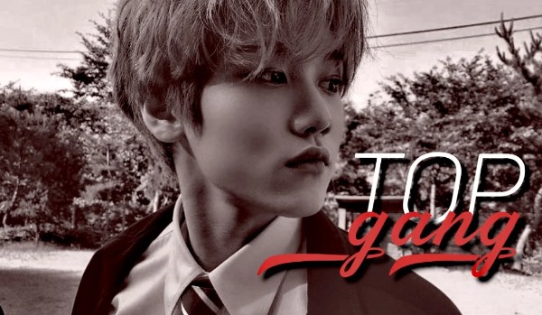 TOP GANG  |1|