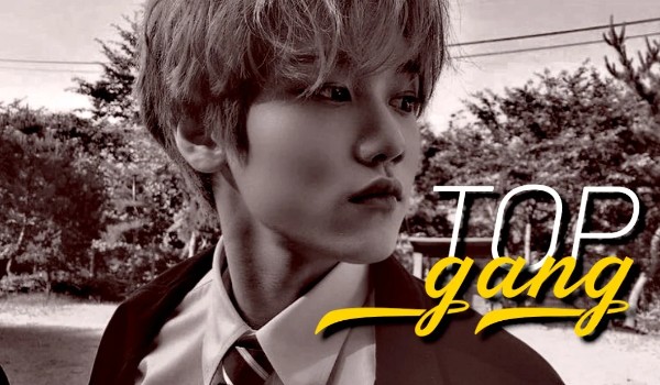 TOP GANG  |6|