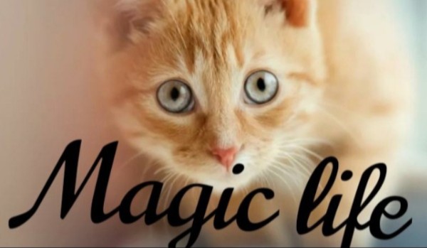Magic Life #3