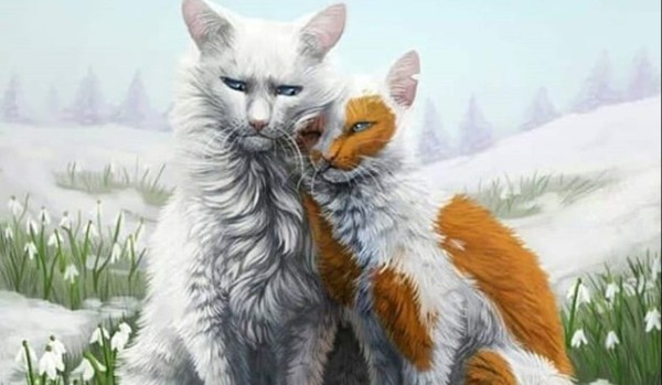 🌠Rozdział III🌠Nowy🌠