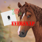 Eversnap