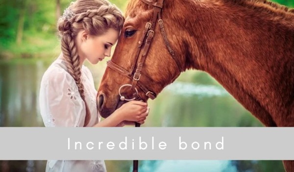 Incredible Bond – Prolog