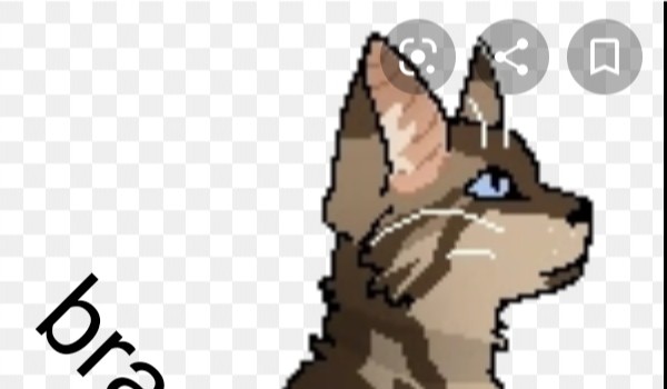 Twoją historia jako kociak