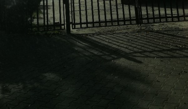 To tajemnicze życie