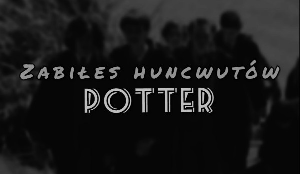 Zabiłeś Huncwotów, Potter