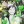Yamaguchi_Tadashi