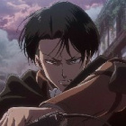 daria_ackerman