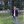 svshi_boi