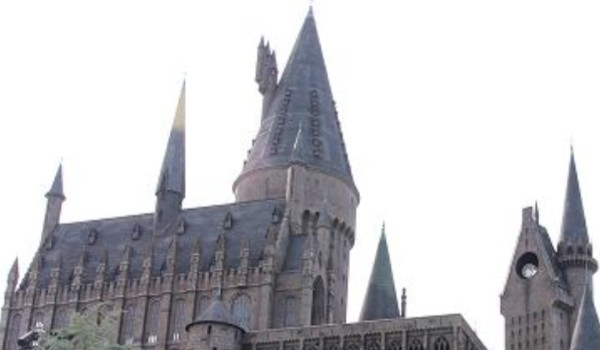 Kim byłbyś w świecie Harry’ego Pottera?