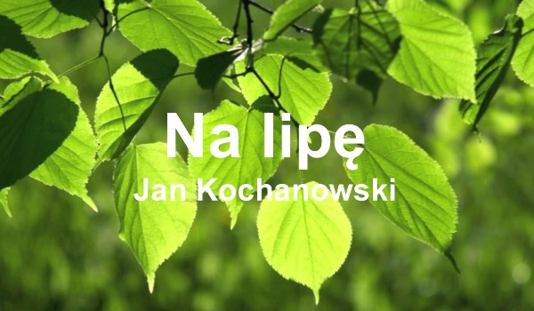 Na lipę-Kochanowskiego