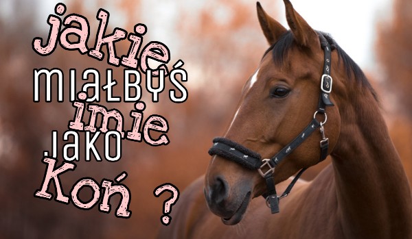 Jakie miałbyś imię jako koń ?