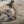 Lusia_12345