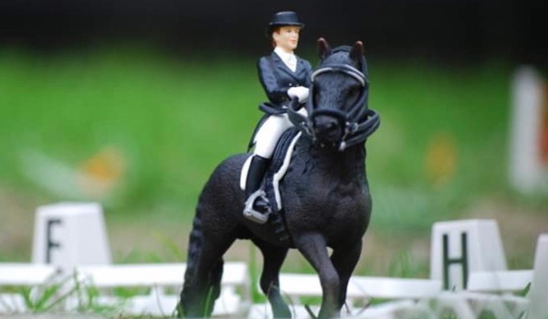 Jaka to rasa konia ?