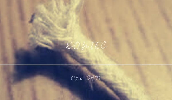 Koniec~One Shot