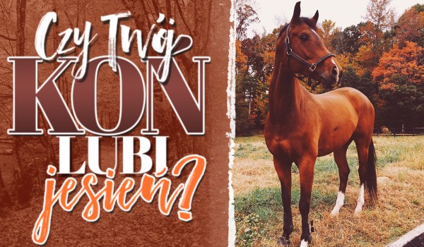 Czy Twój koń lubi jesień?