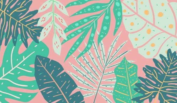 15 dni z SameQuizy – #13