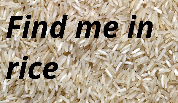 Którego bohatera z mej bajki którą kiedyś napisałem „Znajdź mnie w ryżu!” przypominasz?