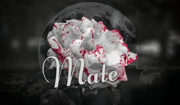 Mate#1