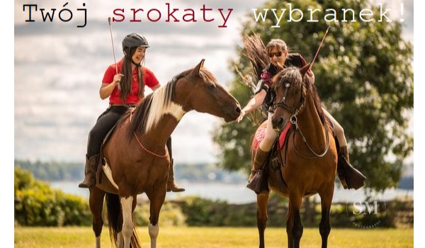 Twój srokaty wybranek !