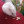 Cookie1266