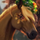 WildEquestrianHorse