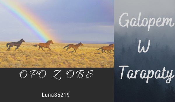 Galopem w Tarapaty – #3