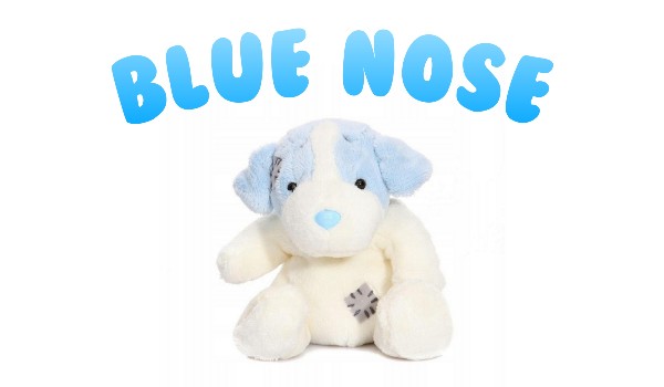Czy rozpoznasz zwierzęta w formie pluszaków Blue Nose?