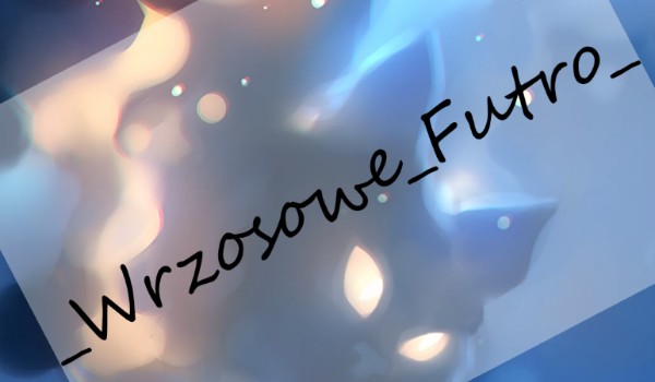 Ocena profilu _Wrzosowe_Futro_