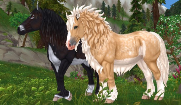 Czy rozpoznasz rasy paru koni ze Star Stable?