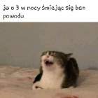 sevenandone111