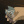 zosia_anime