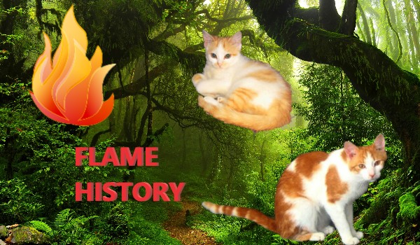 flame history 3