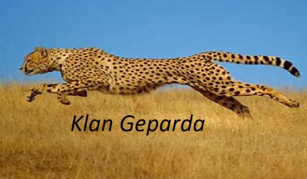 Klan Geparda – rozdział 6 część 1.