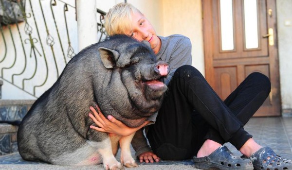 QDEND AEJEJJJJJ – ODPOwi