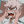 KatsukiBakugou