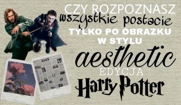 Czy rozpoznasz wszystkie postacie tylko po obrazku w stylu „aesthetic”? ~ Edycja Harry Potter