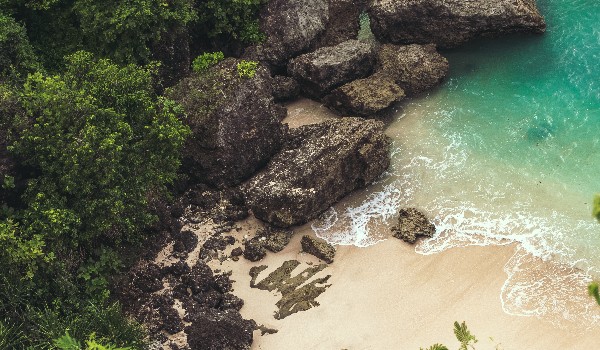 jakim simpem jesteś