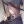 elita_alex