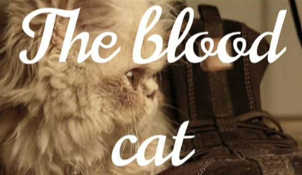 The blood cat~ prolog