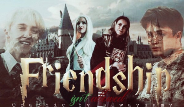 Friendship is not allowed {prolog}