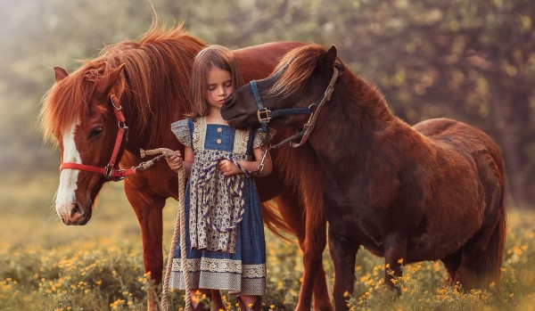 Czy mógłbyś posiadać i opiekować się własnym koniem? 10 Pytań