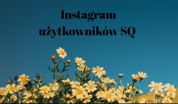 Instagram użytkowników SQ | przedstawienie postaci.