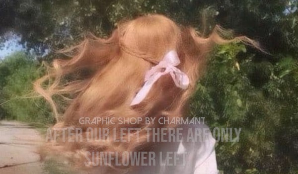After Our Left There Are Only Sunflower Left — One Shot