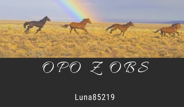 Galopem w tarapaty – #5