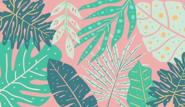 15 dni z SameQuizy – #6