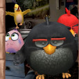 Kubabusus