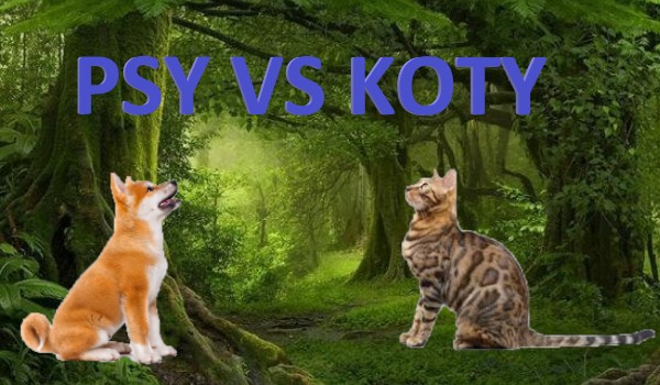 Psy vs Koty| Rozdział 1