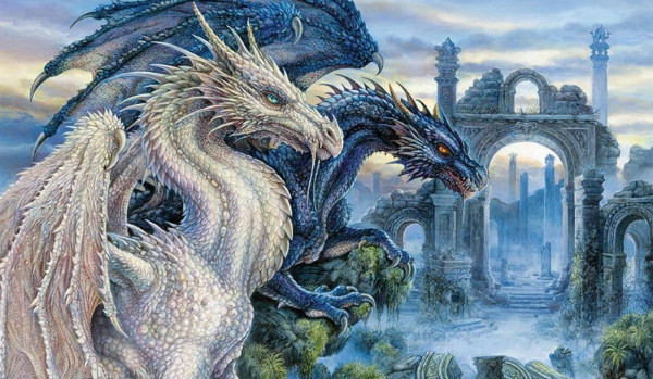 Zapisy do opo z obs World of dragons